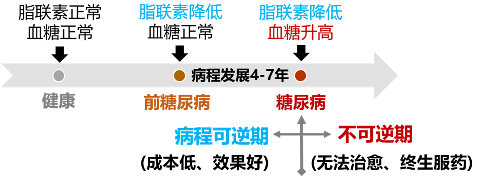 脂联素产品介绍20220318-PPT图片-脂联素与糖尿病发展时期