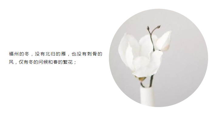 2022-01-06-天作之合——花开福州-截图2-福州的冬，没有北归的雁，也没有刺骨的风，仅有冬的问候和春的繁花.png
