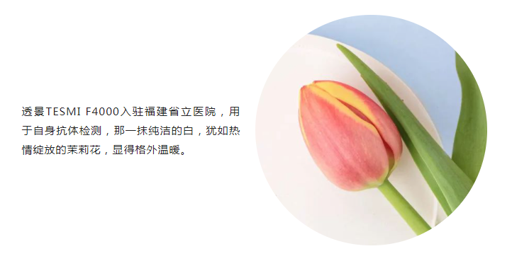2022-01-06-天作之合——花开福州-截图4-那一抹纯洁的白，犹如热情绽放的茉莉花.png